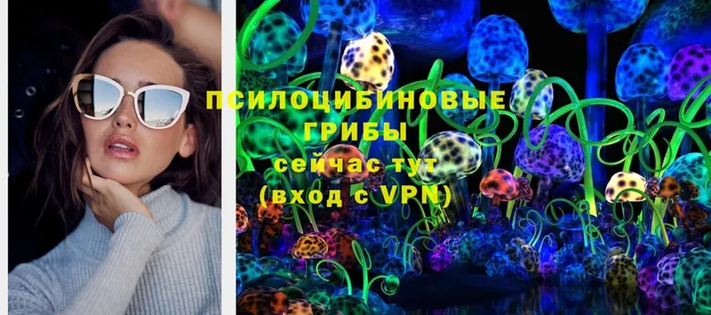 Галлюциногенные грибы Cubensis  где купить наркоту  Коломна 